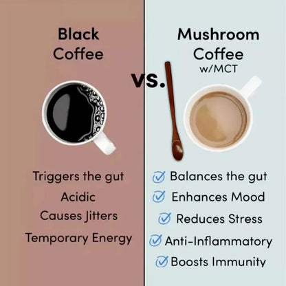 6-in-1 Organic Mushroom Powder - for Brain Health, Improved Focus, Fatigue Resistance and Digestive Support